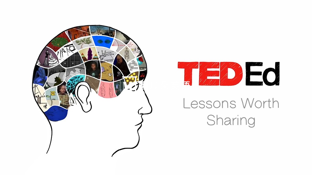 TED-Ed 图片1