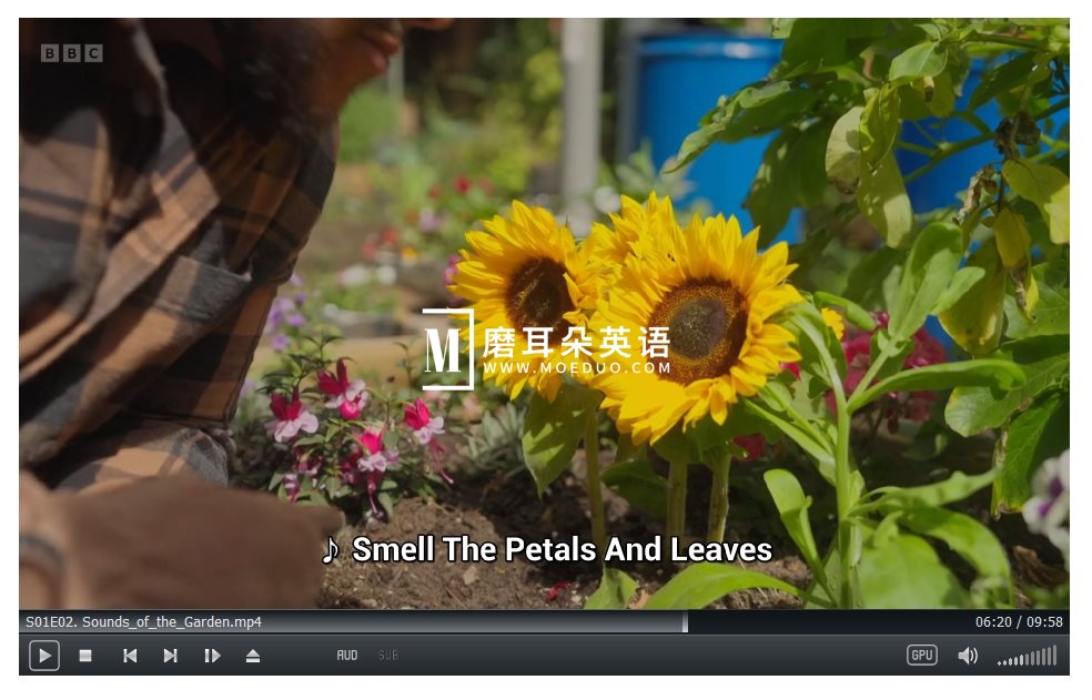 I Can Grow It 图片11