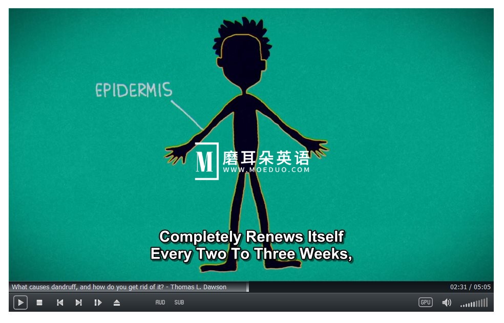 TED-Ed 图片7