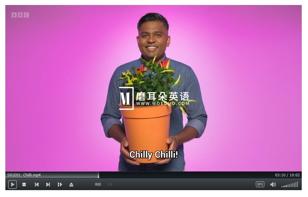 Whats in Your Plant Pot 图片5
