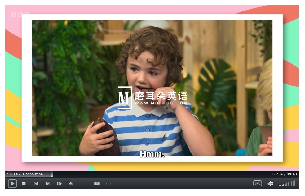 Whats in Your Plant Pot 图片9