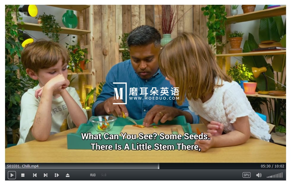 Whats in Your Plant Pot 图片7