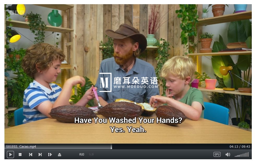 Whats in Your Plant Pot 图片11