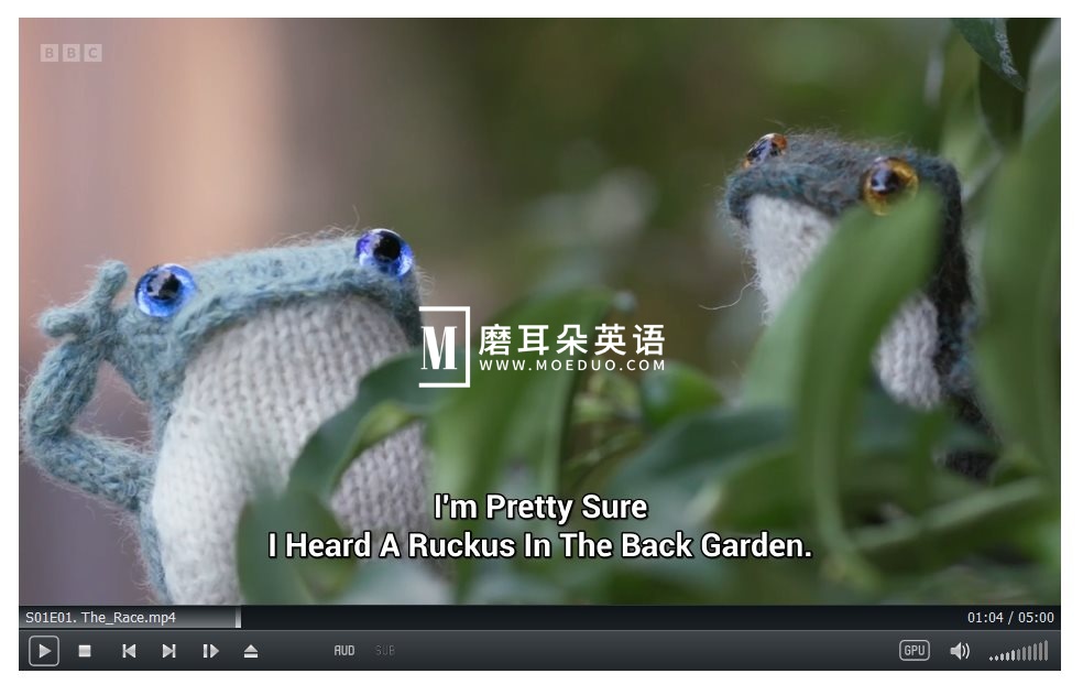 Froglets 图片3